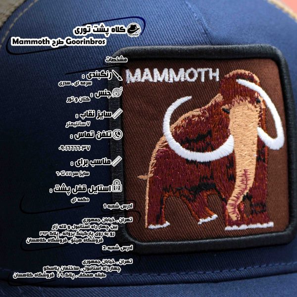بزرگسال اسپرت بیسبالی پشت توری Goorinbros طرح Mammoth رنگ های سرمه ای و سدری کد KBEBPGTMRHSVS003 scaled